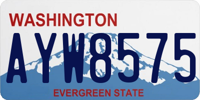 WA license plate AYW8575