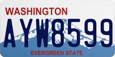 WA license plate AYW8599