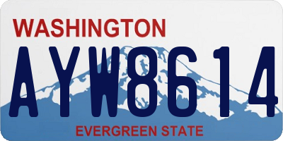 WA license plate AYW8614