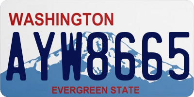 WA license plate AYW8665