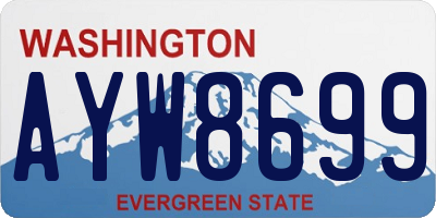 WA license plate AYW8699