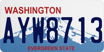 WA license plate AYW8713