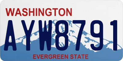 WA license plate AYW8791