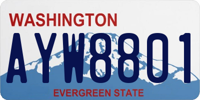 WA license plate AYW8801