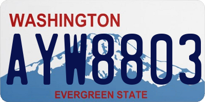 WA license plate AYW8803