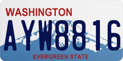 WA license plate AYW8816