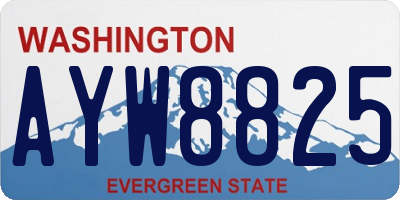 WA license plate AYW8825