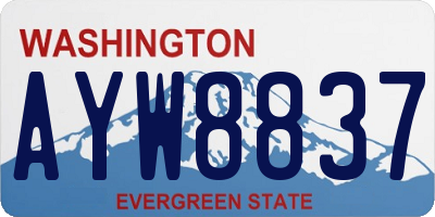 WA license plate AYW8837