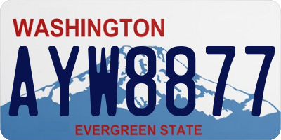 WA license plate AYW8877