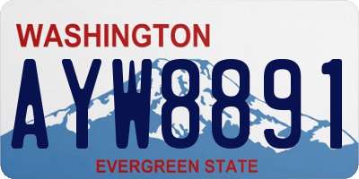 WA license plate AYW8891