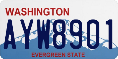 WA license plate AYW8901