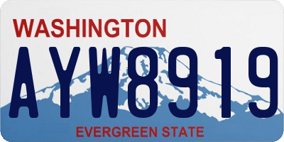 WA license plate AYW8919