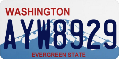 WA license plate AYW8929
