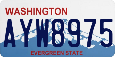 WA license plate AYW8975