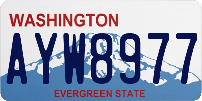 WA license plate AYW8977