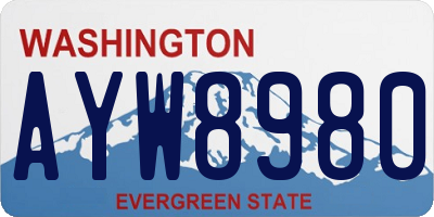 WA license plate AYW8980