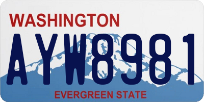 WA license plate AYW8981