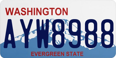 WA license plate AYW8988