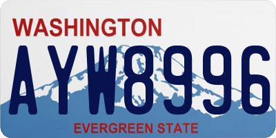 WA license plate AYW8996