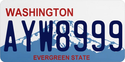 WA license plate AYW8999