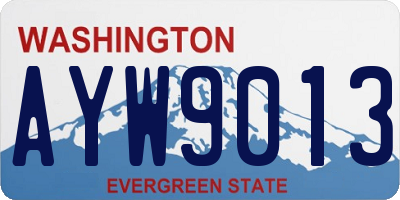 WA license plate AYW9013