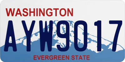 WA license plate AYW9017