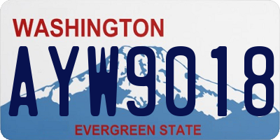 WA license plate AYW9018