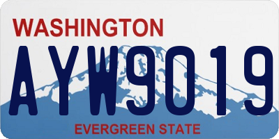 WA license plate AYW9019