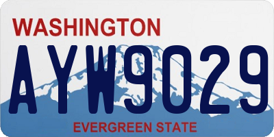 WA license plate AYW9029