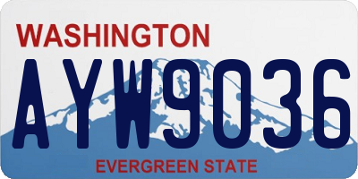 WA license plate AYW9036