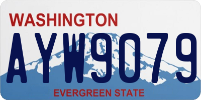 WA license plate AYW9079