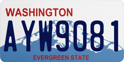 WA license plate AYW9081