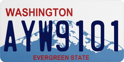 WA license plate AYW9101