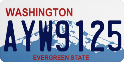 WA license plate AYW9125