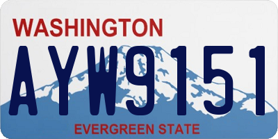 WA license plate AYW9151