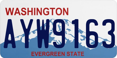 WA license plate AYW9163