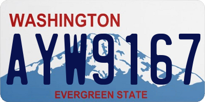 WA license plate AYW9167