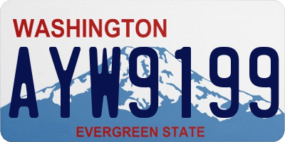 WA license plate AYW9199