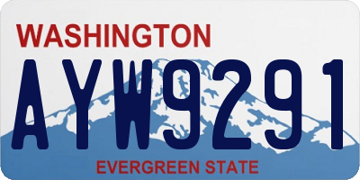 WA license plate AYW9291