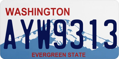 WA license plate AYW9313