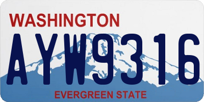 WA license plate AYW9316