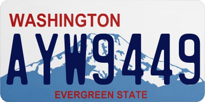 WA license plate AYW9449