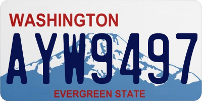 WA license plate AYW9497