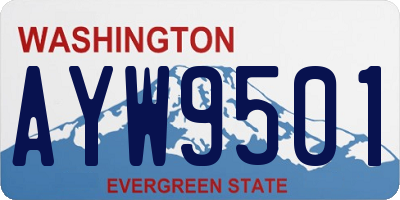 WA license plate AYW9501