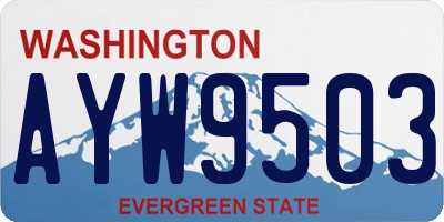 WA license plate AYW9503