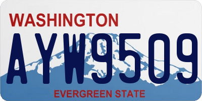 WA license plate AYW9509