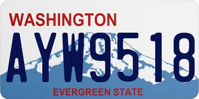 WA license plate AYW9518