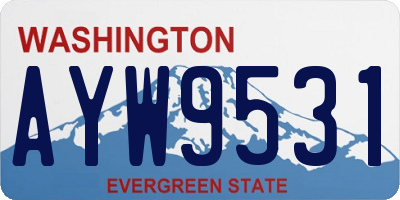 WA license plate AYW9531