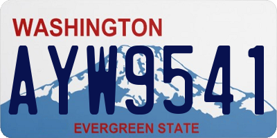 WA license plate AYW9541