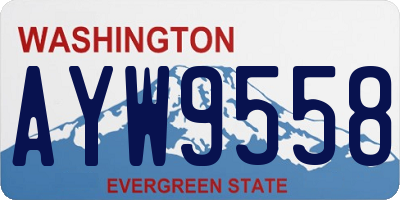 WA license plate AYW9558